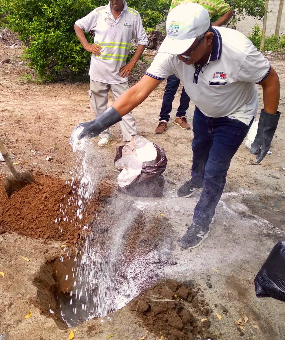 Así mataron a los caracoles africanos - crédito Alcaldía de Malambo