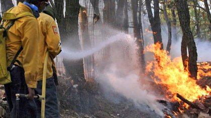 (Foto: Twitter Coordinación Nacional de Protección Civil @CNPC_MX)