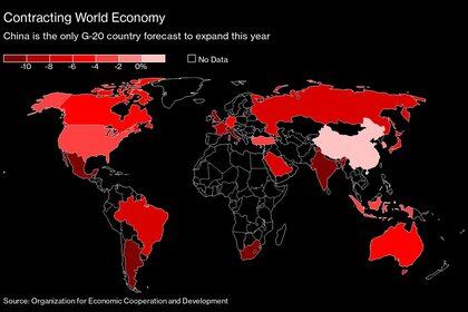 China es el único de los países del G20 que crece este año, según las previsiones de la OCDE