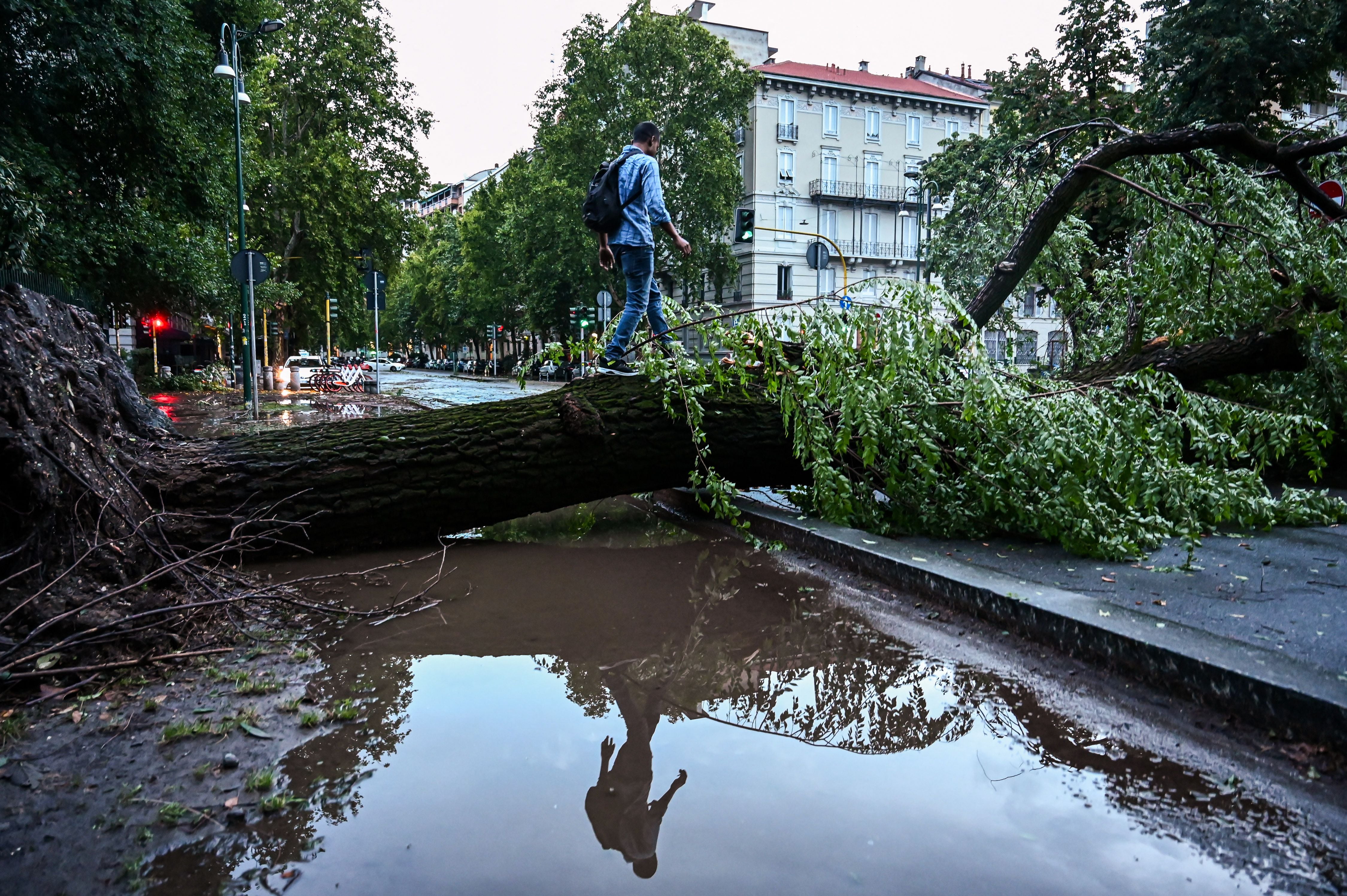 Molte strade sono state allagate e decine di alberi sono caduti (Piero CRUCIATTI/AFP)