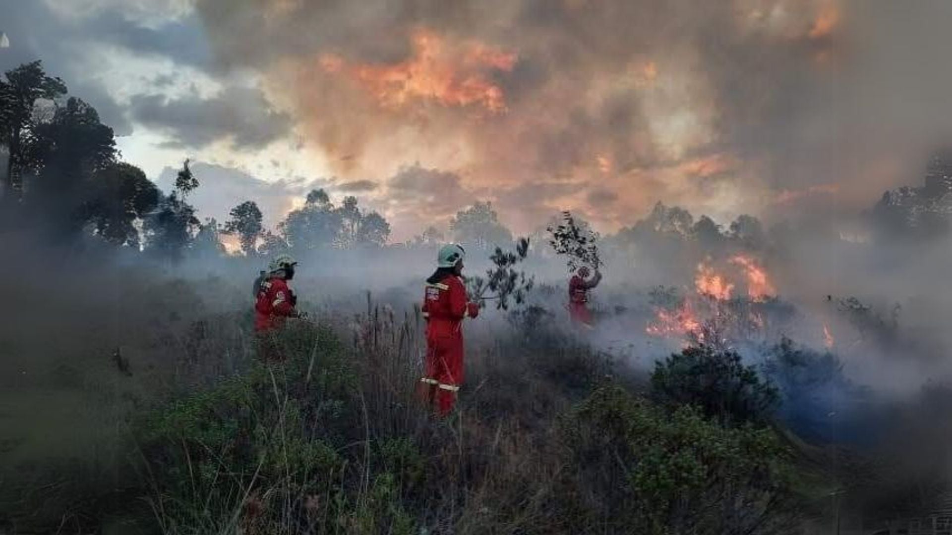 Incendios forestales en Perú EN VIVO: 22 regiones afectadas por fuego fuera de control - Infobae