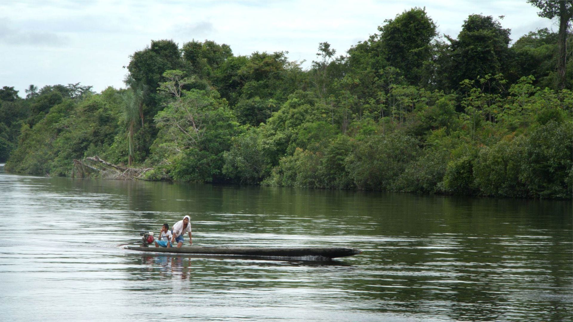 Pueblos indígenas de la Amazonía se pronunciaron respecto a emergencia ambiental. Foto: Difusión