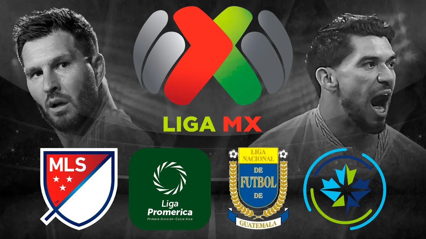 Quiénes son los 10 mejores equipos más seguidos de la Liga MX?