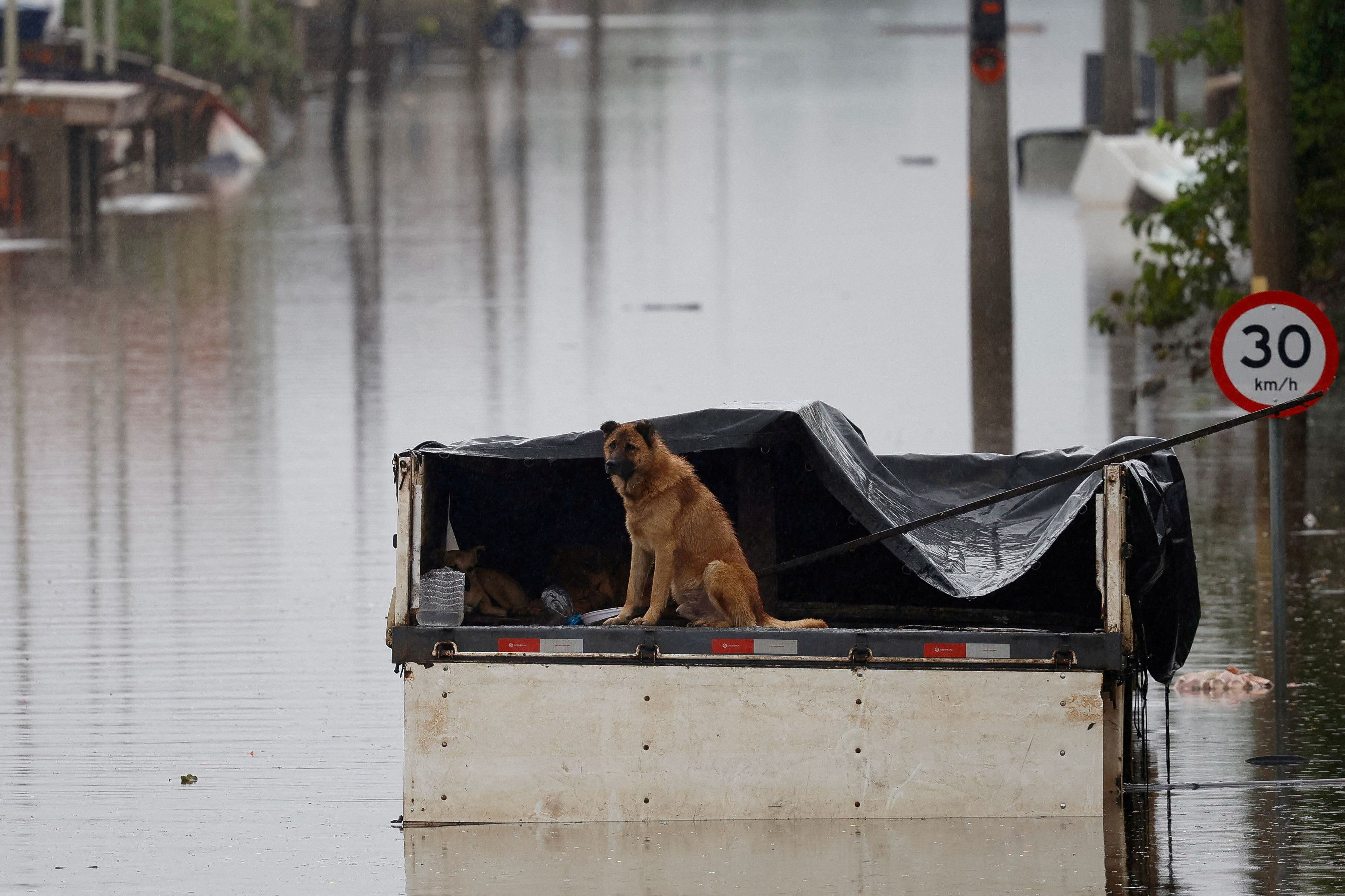 Según el Instituto Nacional de Meteorología, todo el estado espera que las “lluvias intensas” continúen en las próximas horas, con más de 100 mm por día en algunas partes (REUTERS/Adriano Machado)