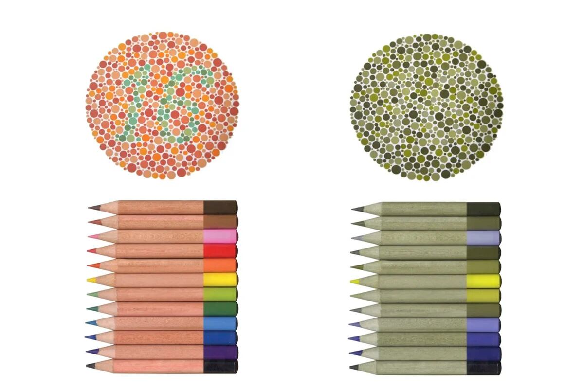 Los innovadores lentes de sol que permiten ver colores a personas daltónicas  - Infobae