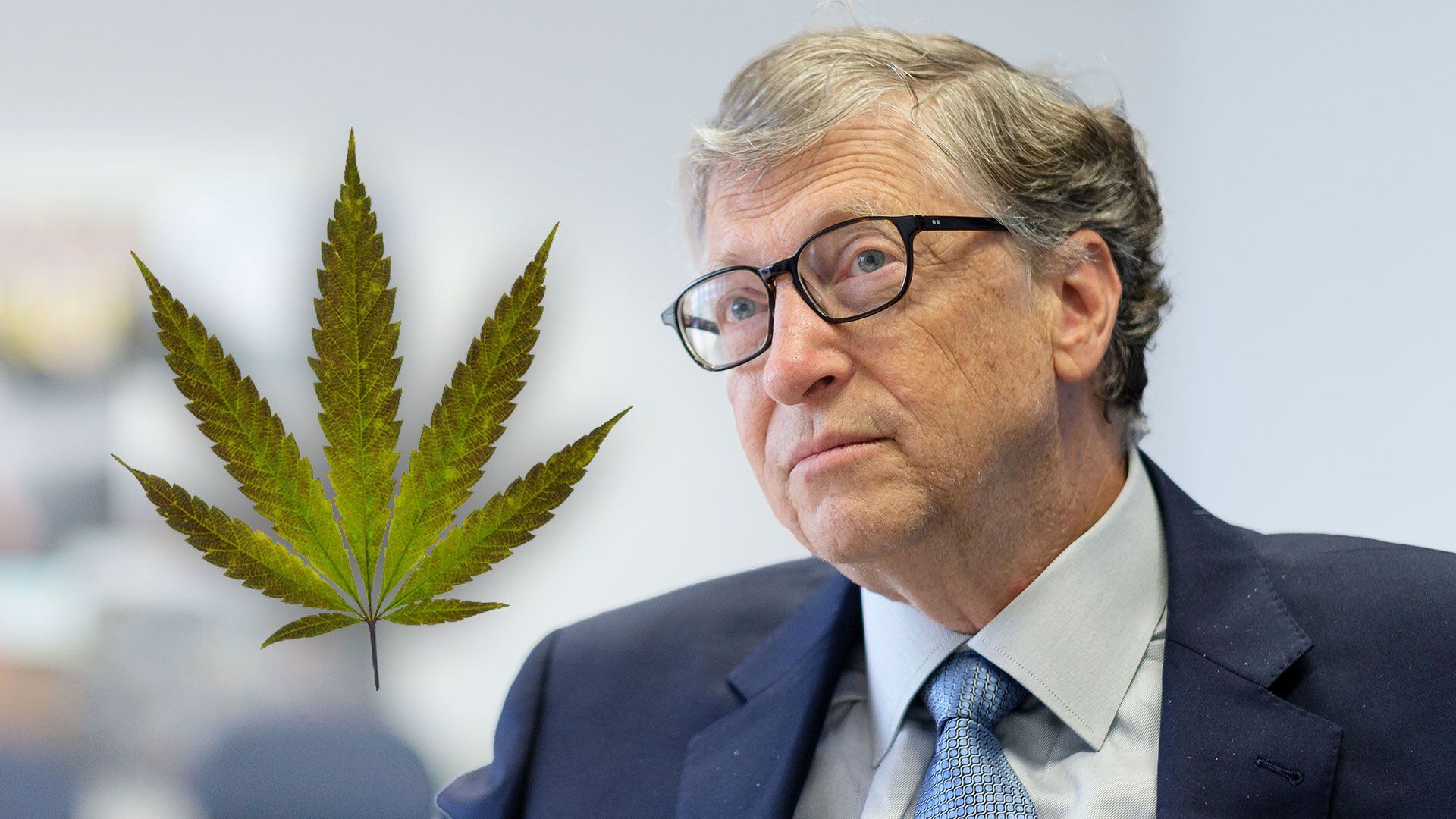 Bill Gates ﻿marihuana