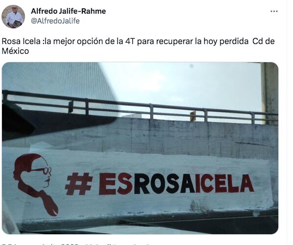 Usuarios publicaron imágenes de las pintas con la leyenda a favor de rosa Icela (Captura/Twitter)