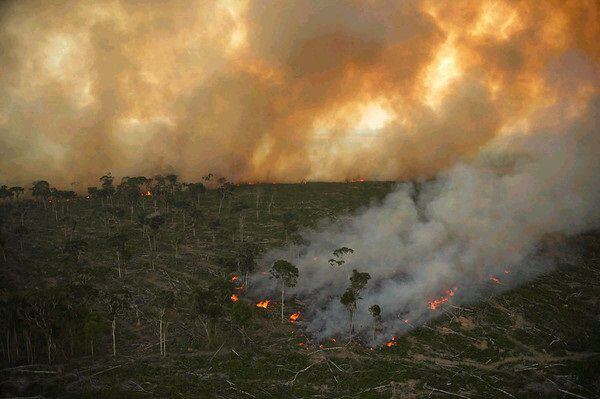 En el Amazonas de Brasil se hizo un estudio que verificó resultados positivos de las quemas prescriptas/Archivo