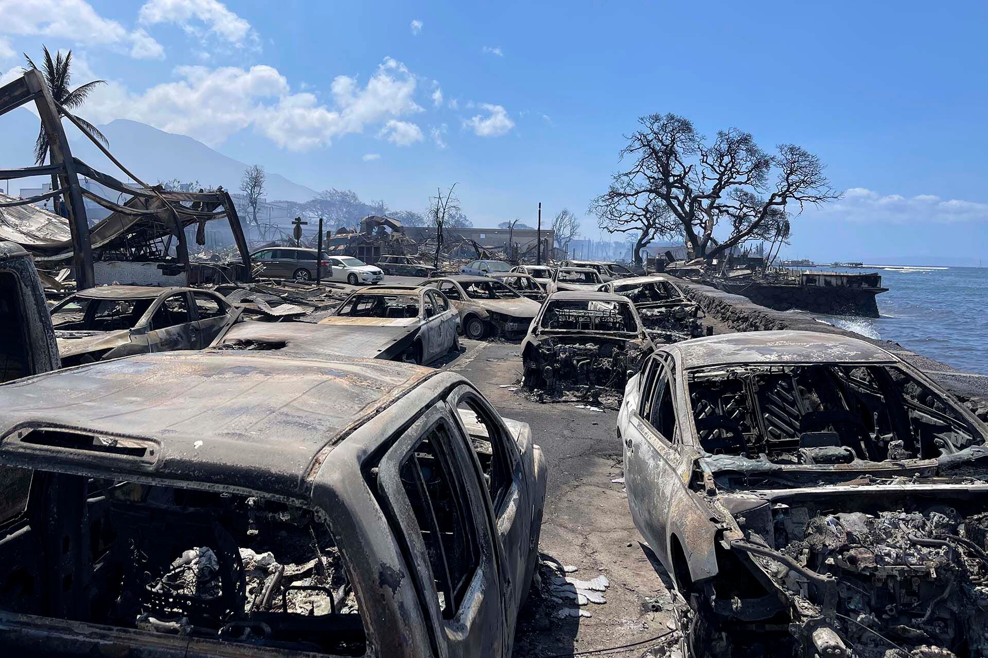 Autos quemados después de que un incendio forestal arrasara Lahaina, Hawaii, el miércoles 9 de agosto de 2023 (Tiffany Kidder Winn vía AP)