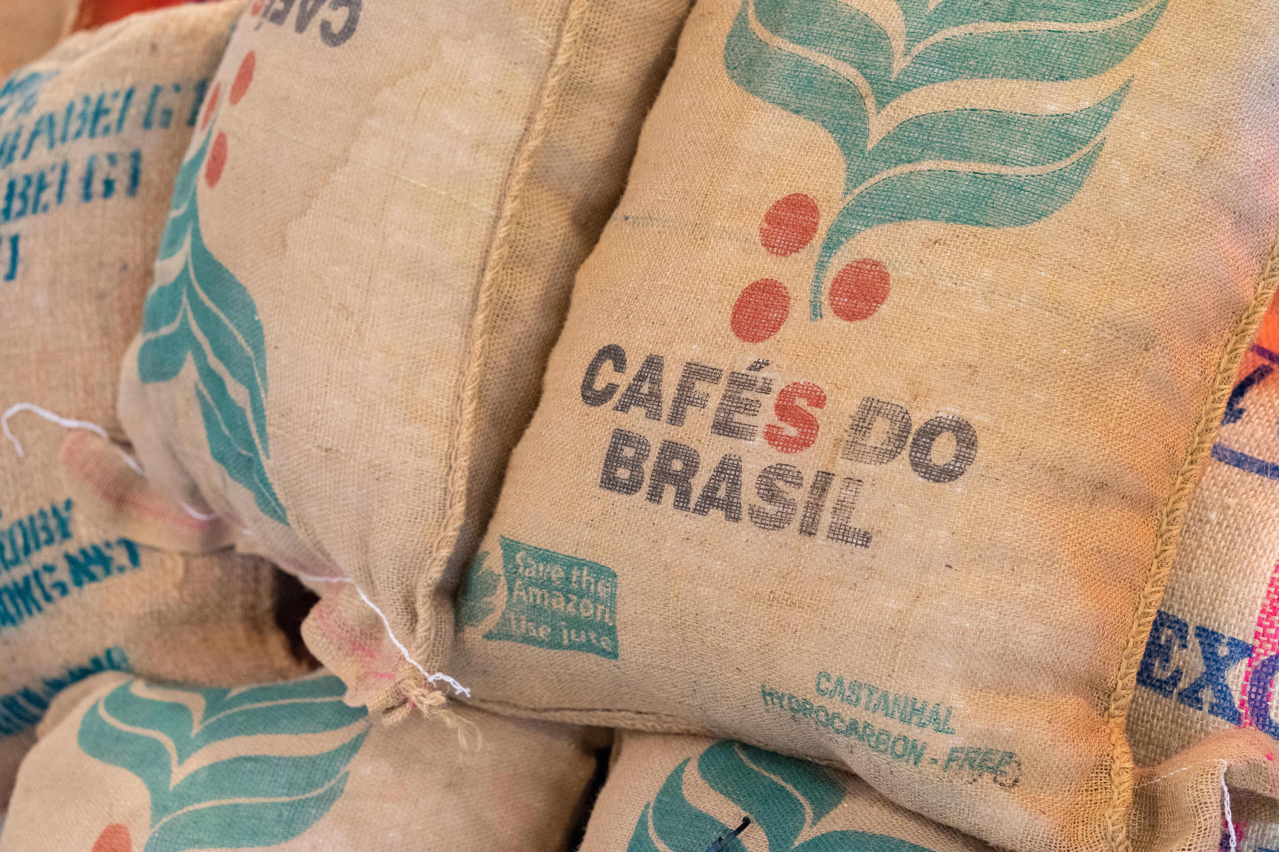 Brasil exportó casi 32 millones de sacos de 60 kilos de café entre enero y agosto, lo que representa un aumento del 39% en comparación con el mismo periodo del año anterior, según informó el Consejo de los Exportadores de Café (Foto: Shutterstock)