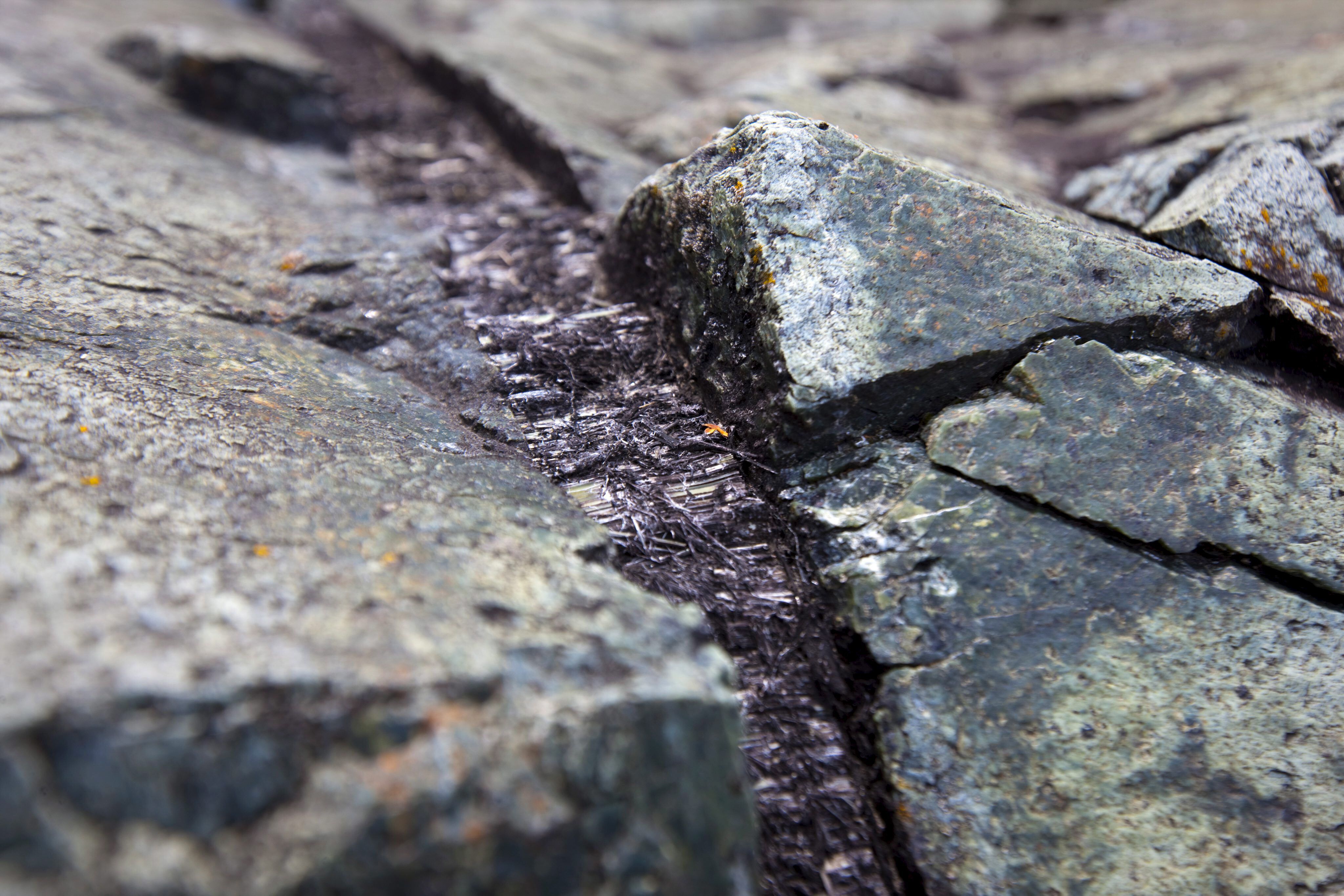 Jan Zalasiewicz, geólogo polaco en la Universidad de Leicester del Reino Unido, ganó un IgNobel “por explicar por qué a muchos científicos les gusta lamer rocas”/ EFE/Andre Pichette
