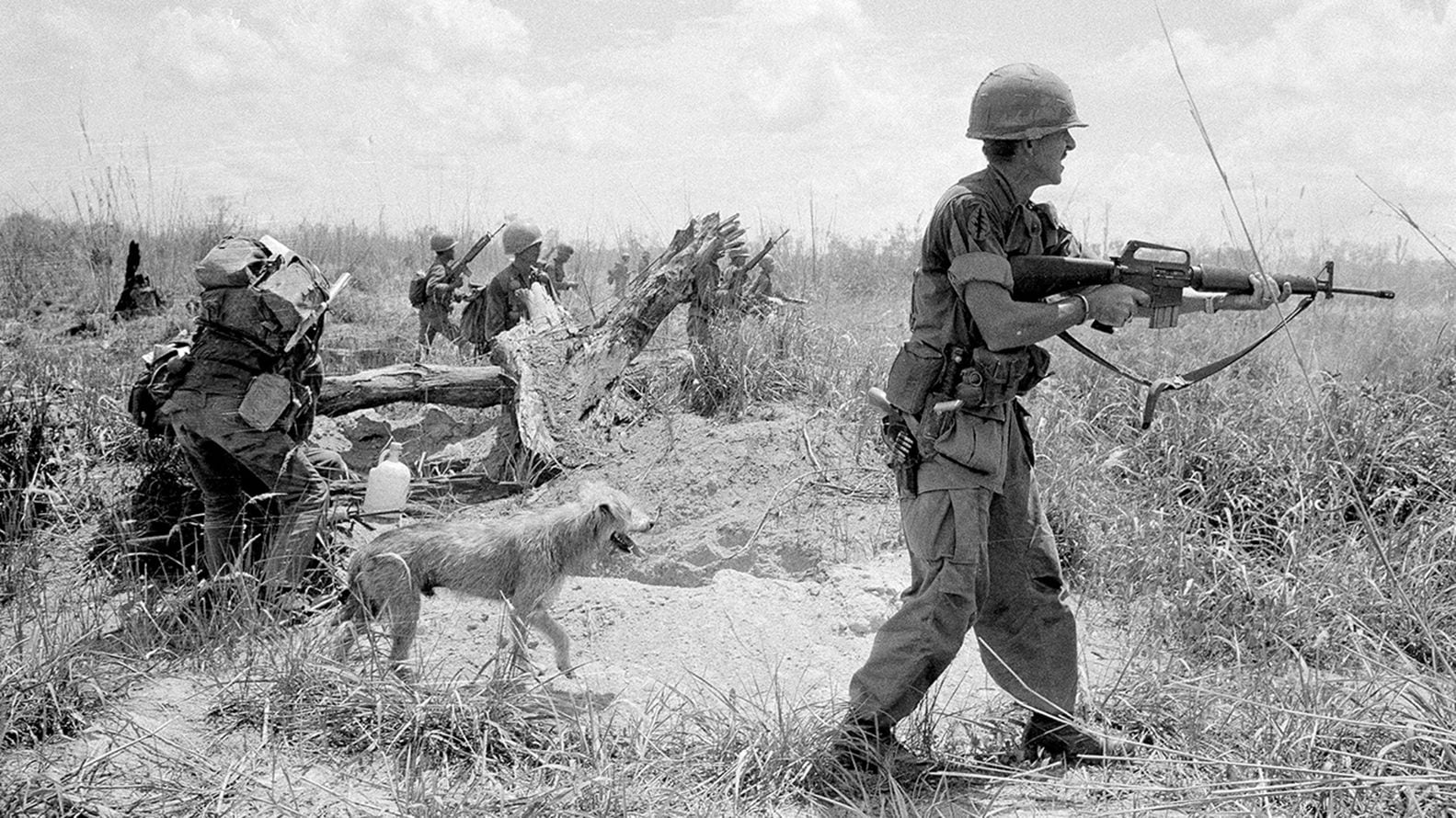 Собаки во вьетнамской войне