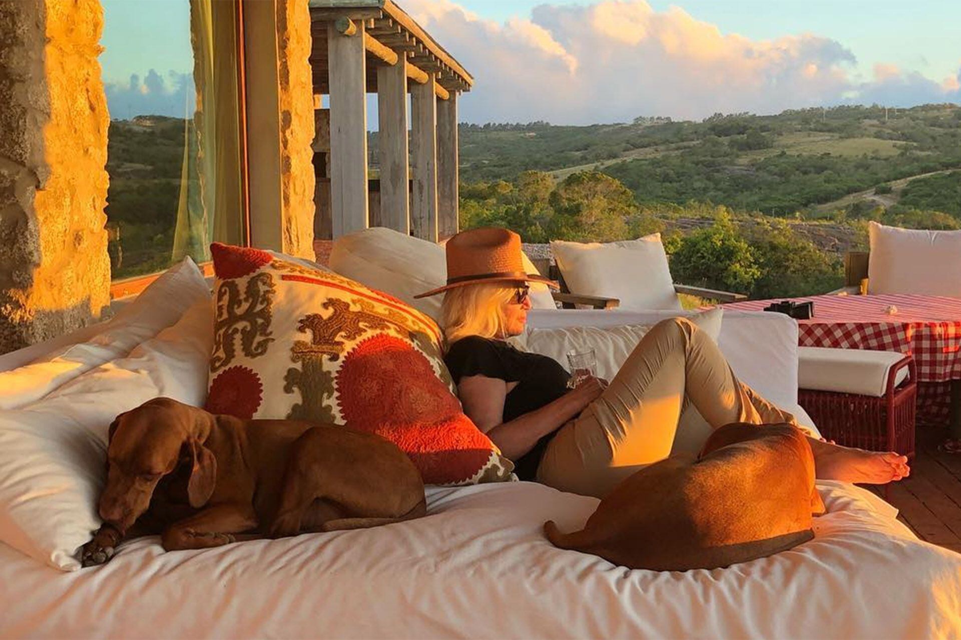 La mejor compañía: Susana Giménez y dos de sus perros, en un momento de tranquilidad (Fotos y video: Instagram)