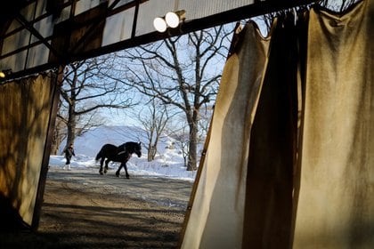 Foto de archivo: Un hombre entrena a un caballo en el hipódromo 'Banei' de Obihiro en Hokkaido, Japón, el 24 de febrero de 2020 (REUTERS/Issei Kato)