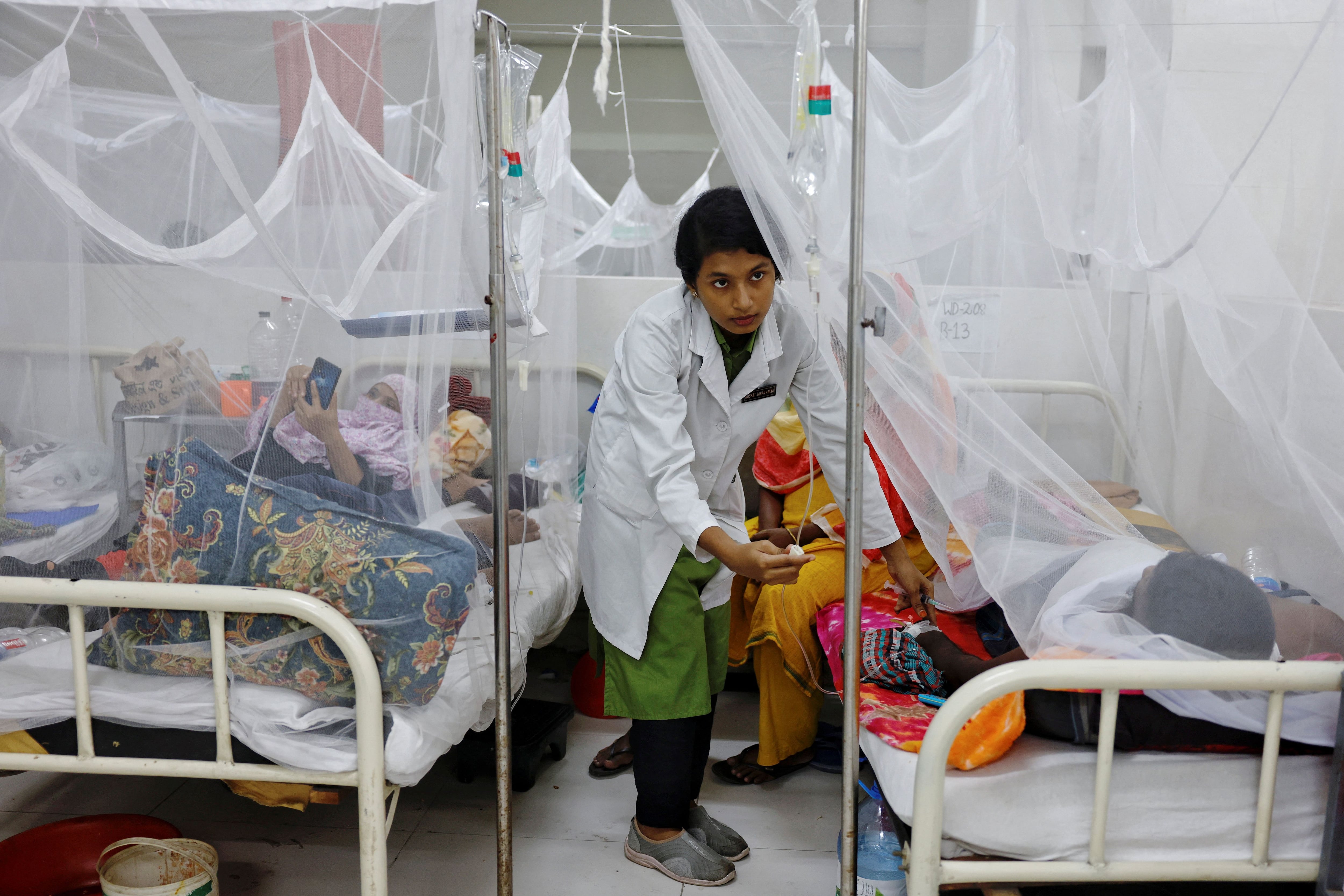En Bangladesh hubo 741 muertes por dengue este año/Archivo