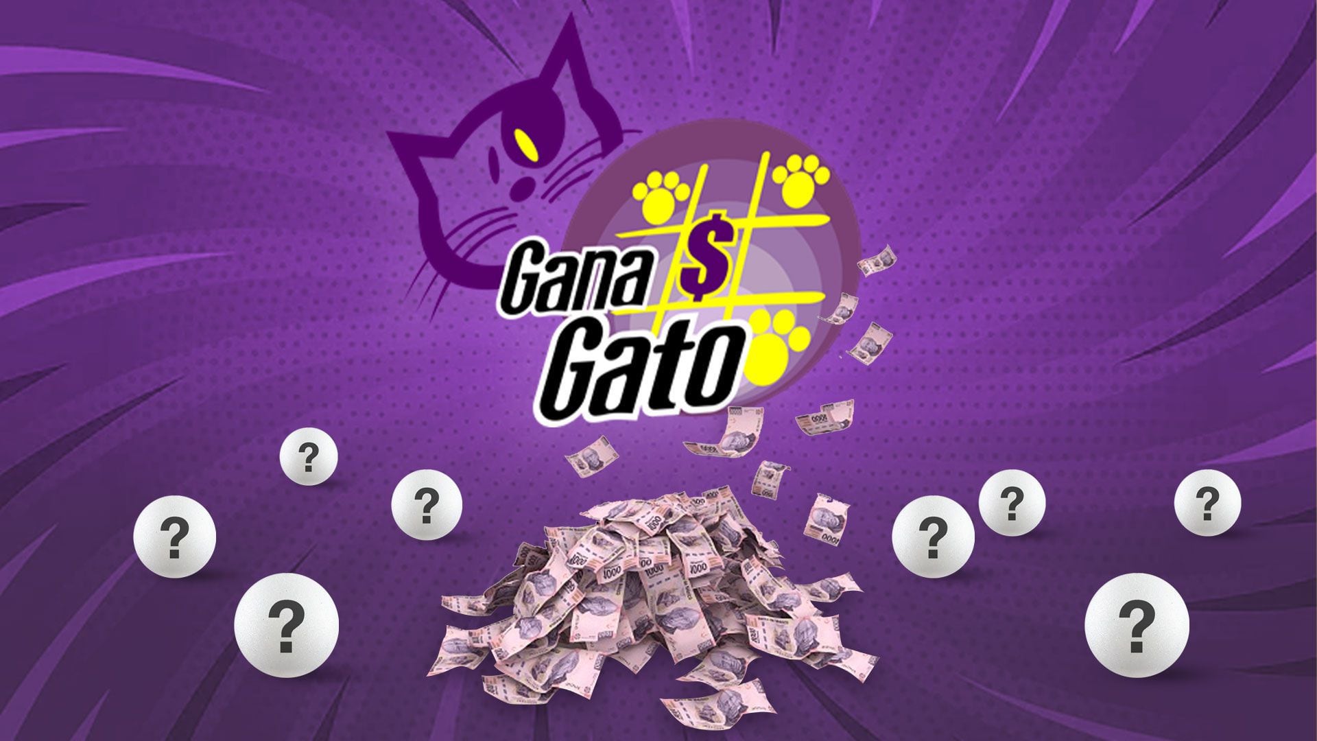 Los Números Que Dieron La Fortuna A Los Nuevos Ganadores De Gana Gato Infobae 6541
