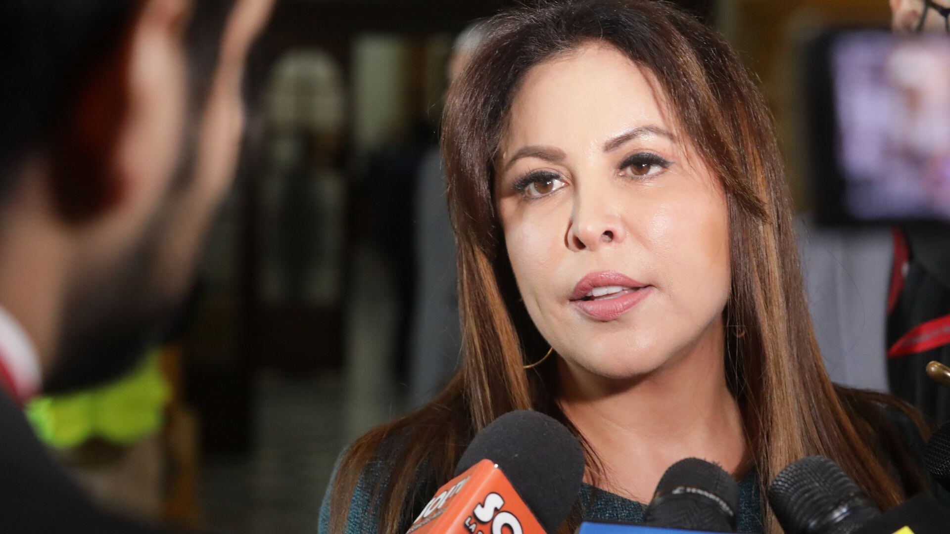 Patricia Chirinos es autora del proyecto de ley que exonera de responsabilidad penal en casos de legítima defensa