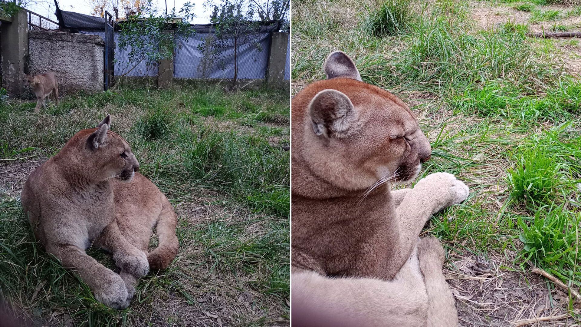 cierre zoo Colón