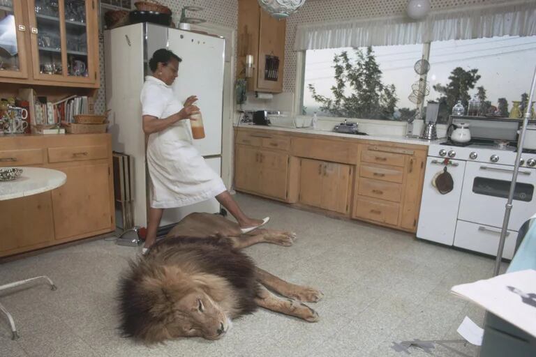 Un León En Casa Las Increíbles Fotos De La Actriz Melanie Griffith Y 