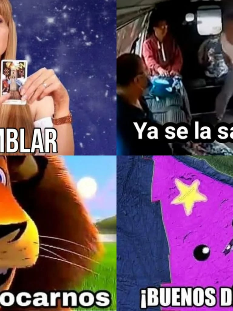 Se volvió estática ✨ #memes #memesmexico #memesenespañol