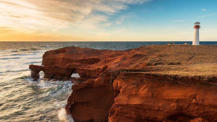 Se trata de la guardería de focas arpa en el Golfo de San Lorenzo, frente a las islas Magdalena, Quebec, uno de los tres criaderos de focas arpa del noroeste del Atlántico (Shutterstock)