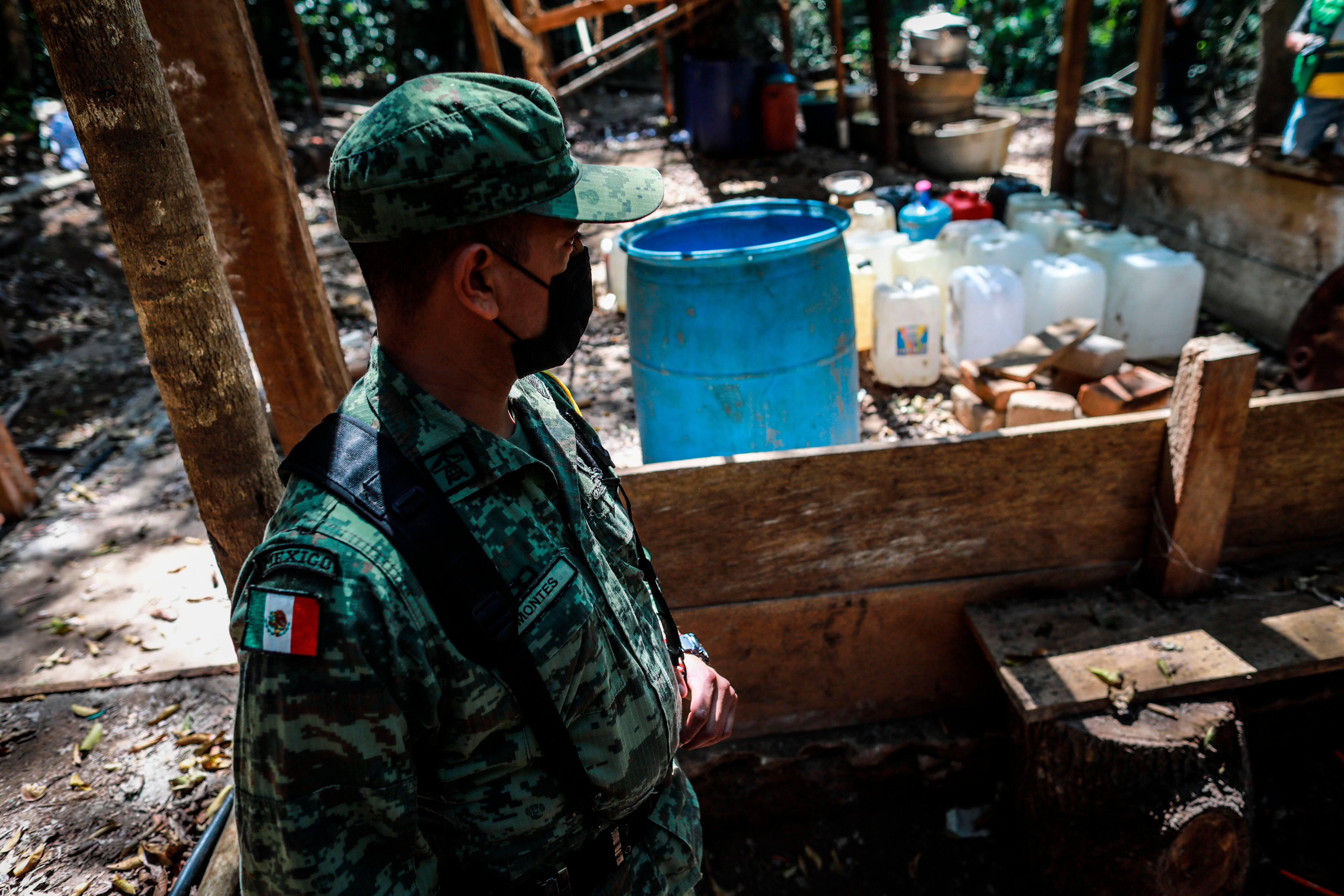 Ejercito Mexicano destruye plantíos de Coca y un laboratorio clandestino en la sierra de Guerrero