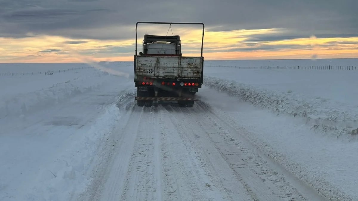 Frío extremo en Argentina: de Venado Tuerto a Tandil, las 15 ciudades que amanecieron con temperaturas bajo cero