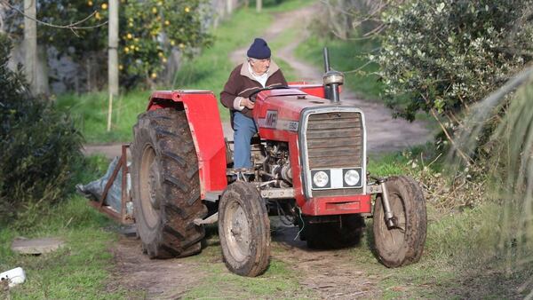 Mujica en su chacra en Uruguay (EFE)