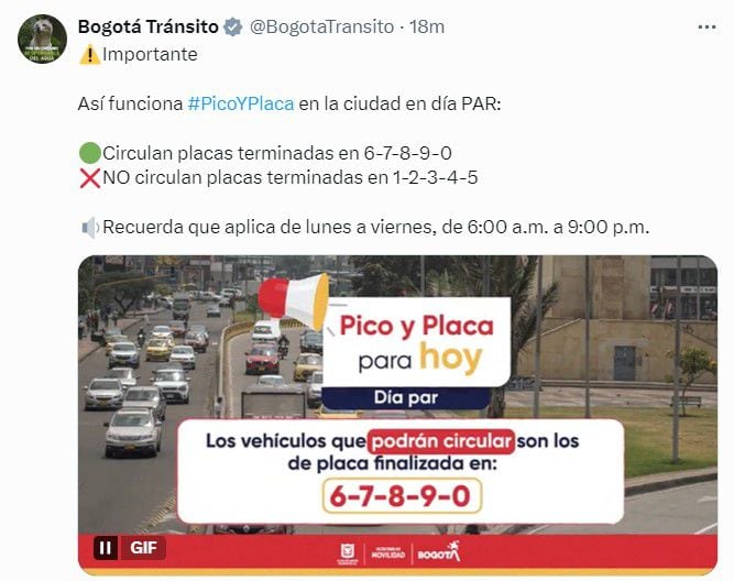 Pico y placa en Bogotá - crédito captura de pantalla redes sociales