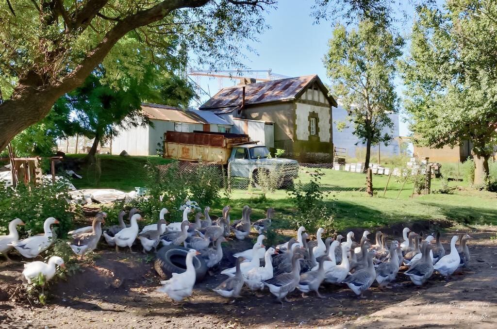 Una postal de las calles de tierra de Azucena, elegida por los fotógrafos para capturar instantes sublimes (Foto: Instagram @javierpintos.ph)