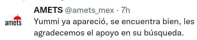 A través de un tuit, la AMETS agradeció el apoyo en la búsqueda de Yummi Li. Foto: Tw @amets_mex