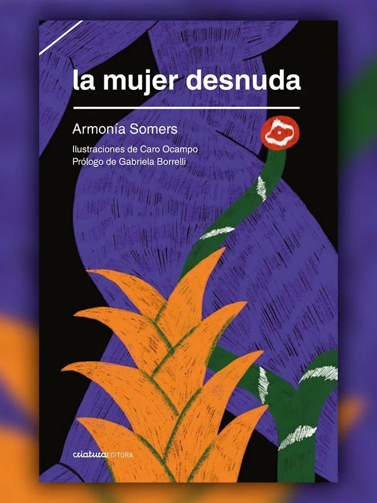 El eterno retorno de Armonía Somers, un tesoro oculto de la literatura  uruguaya - Infobae