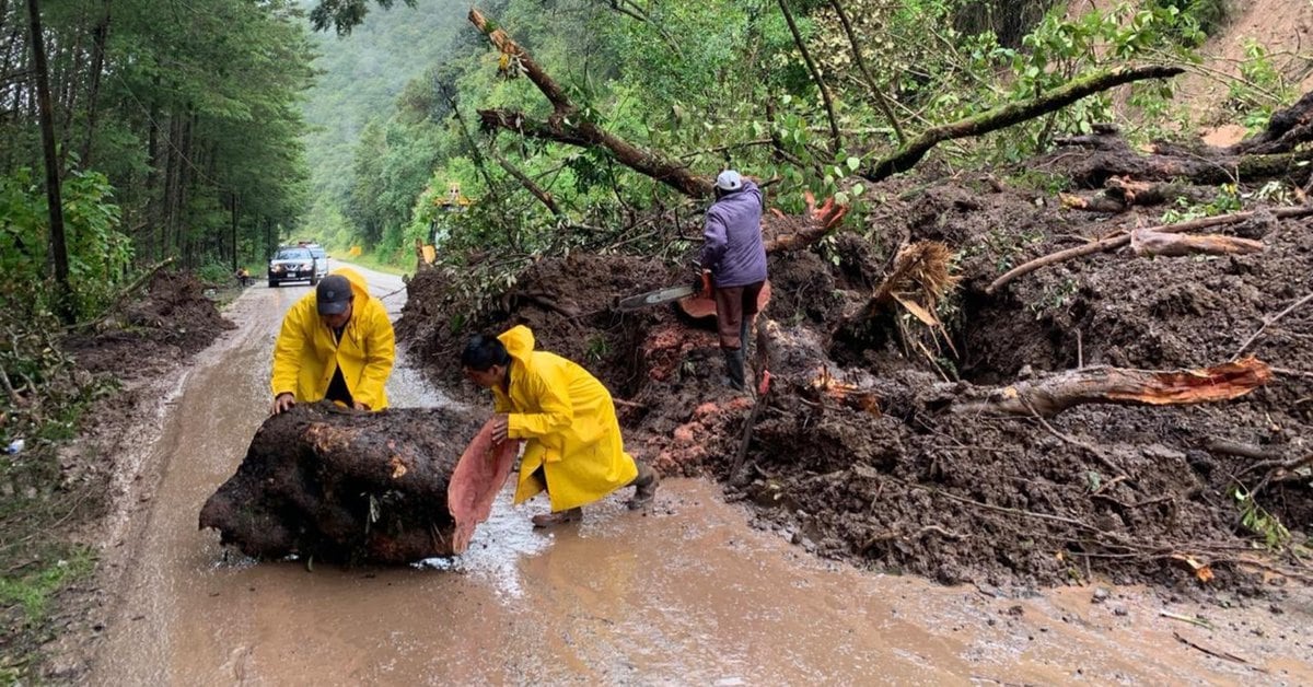 Al menos 20 muertos por saldo de lluvias que provocaron frente frío 11 y «ETA» en Chiapas