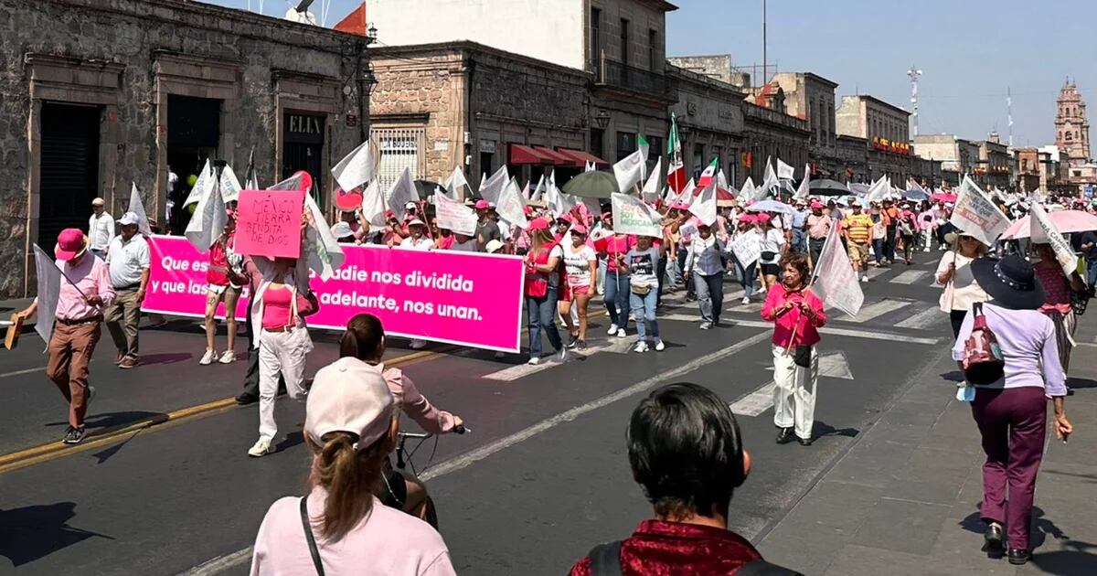 Así se vivió la Marea Rosa en los estados: “Vamos a derrotar al gobierno de la mentira” | FOTOS – infobae