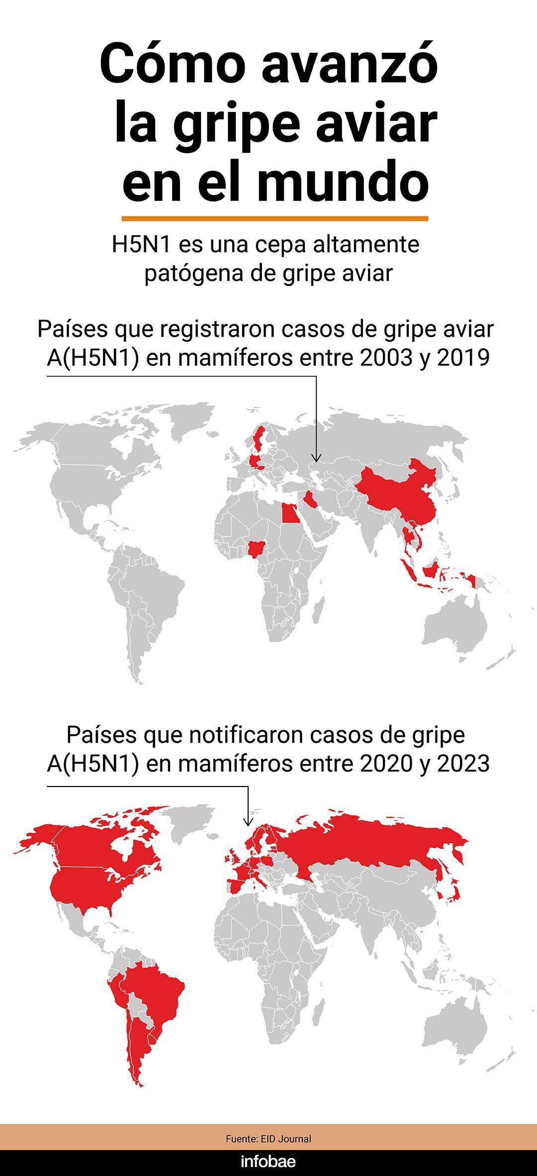 Gripe aviar MAPAs