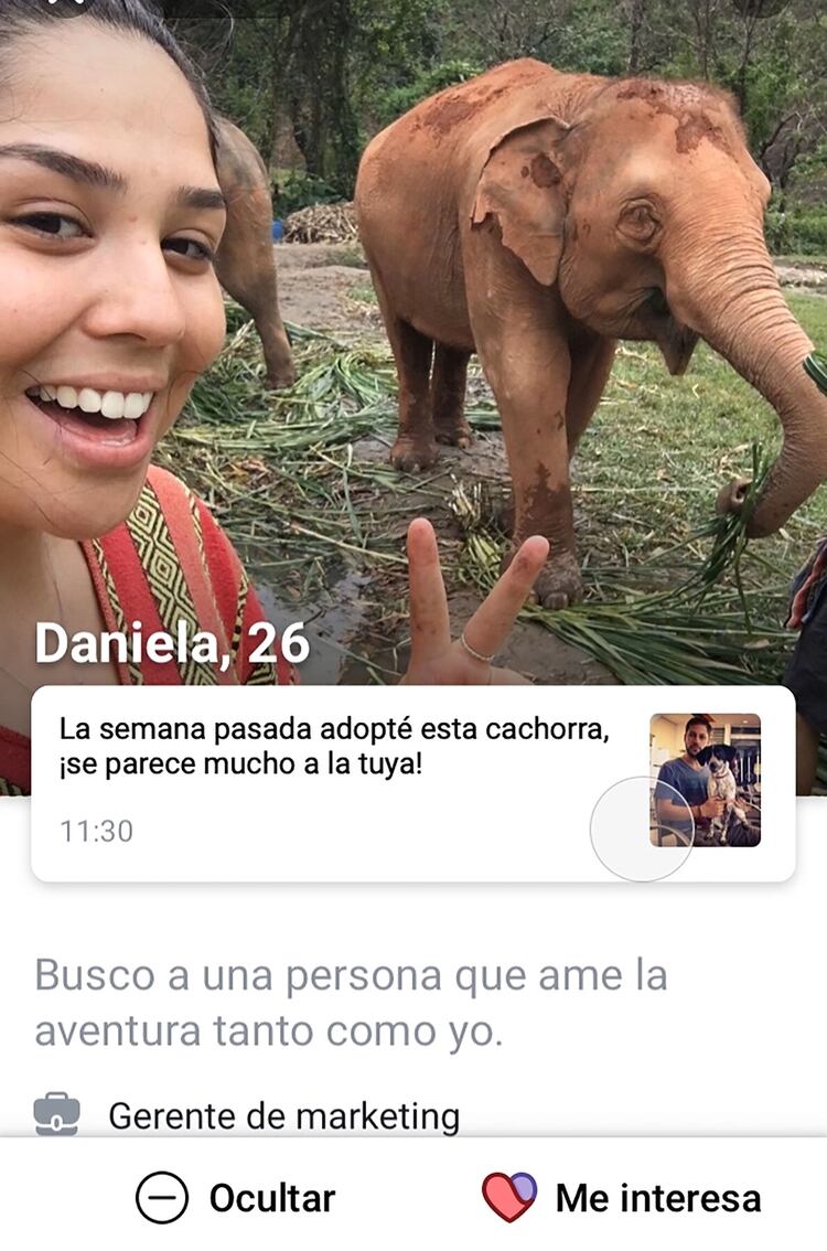 Los usuarios de Facebook Dating pueden completar su perfil con intereses y fotos