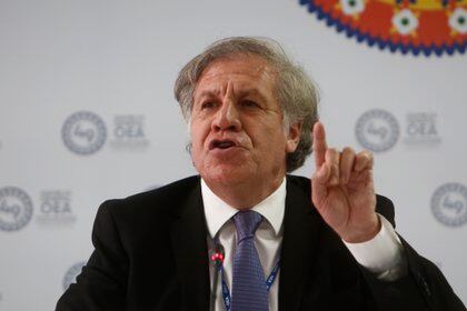 En la imagen, el Secretario General de la OEA, Luis Almagro.  EFE / Luis Eduardo Noriega A / Archivo