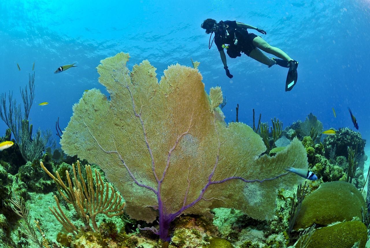 Buceo-Colombia