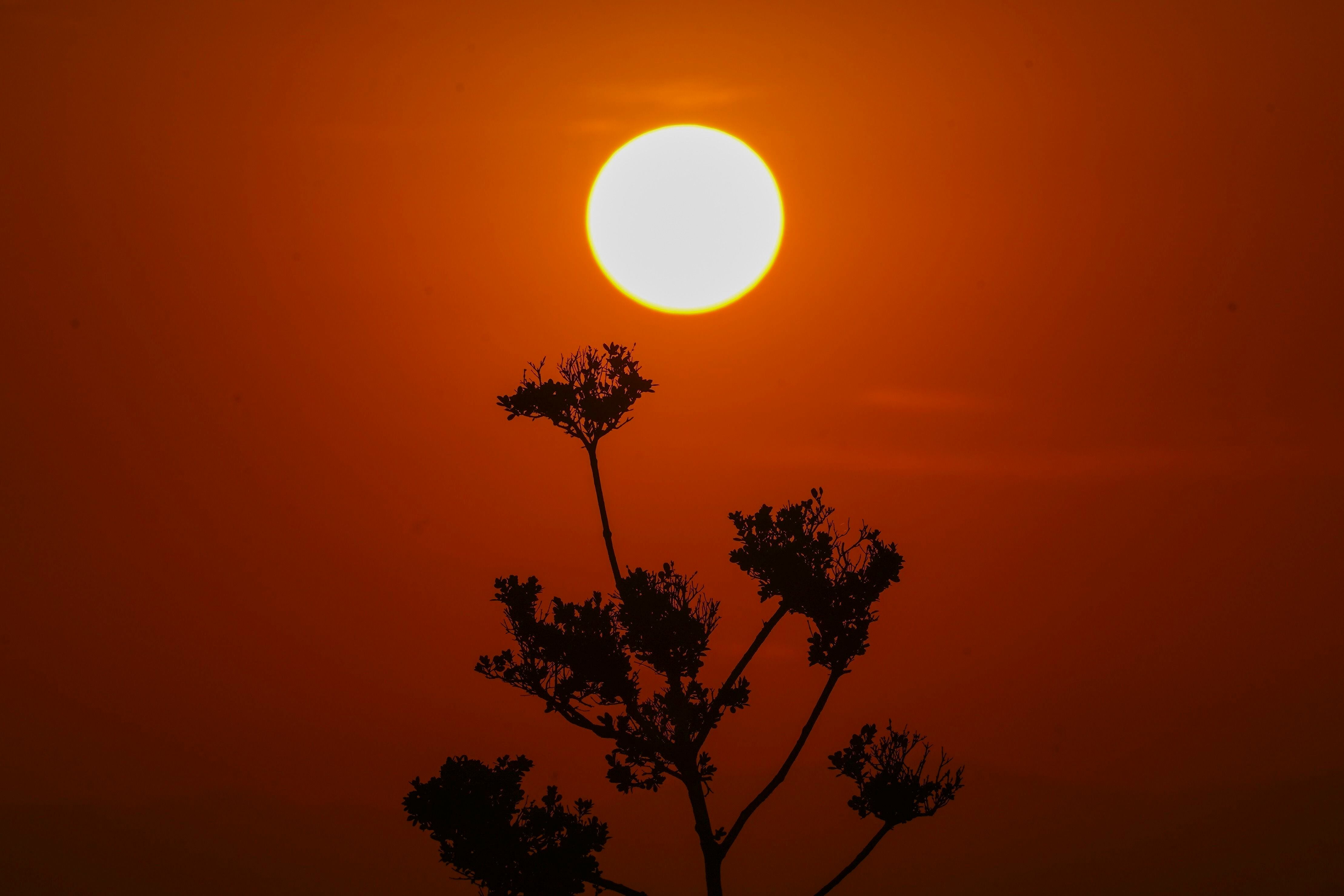 Las altas temperaturas combinadas con altos niveles de humedad representan grandes riesgos para la salud (AP/Marco Ugarte)