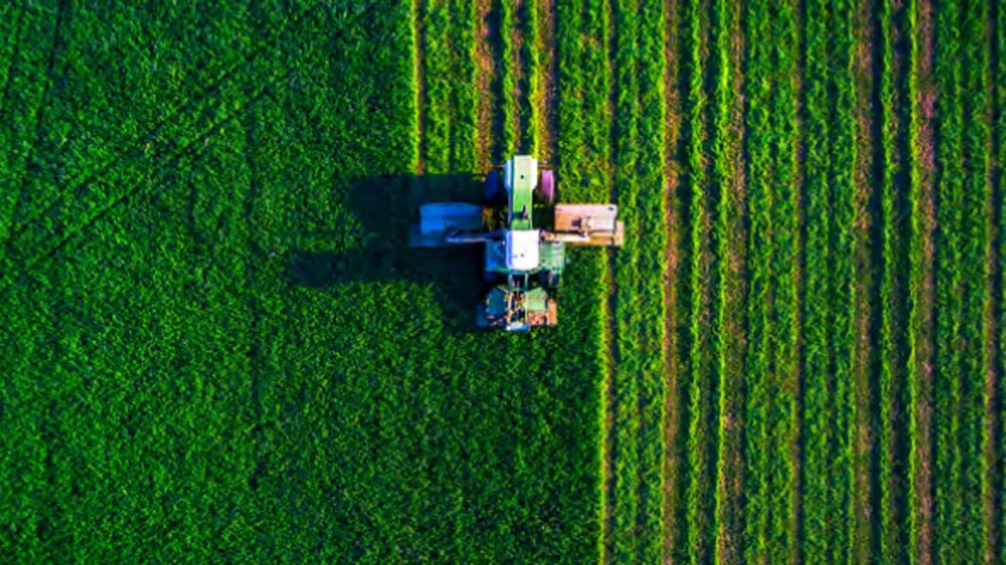 Más Vegetales Y Menos Carne La Clave Para Alimentar A Todo El Planeta 7446