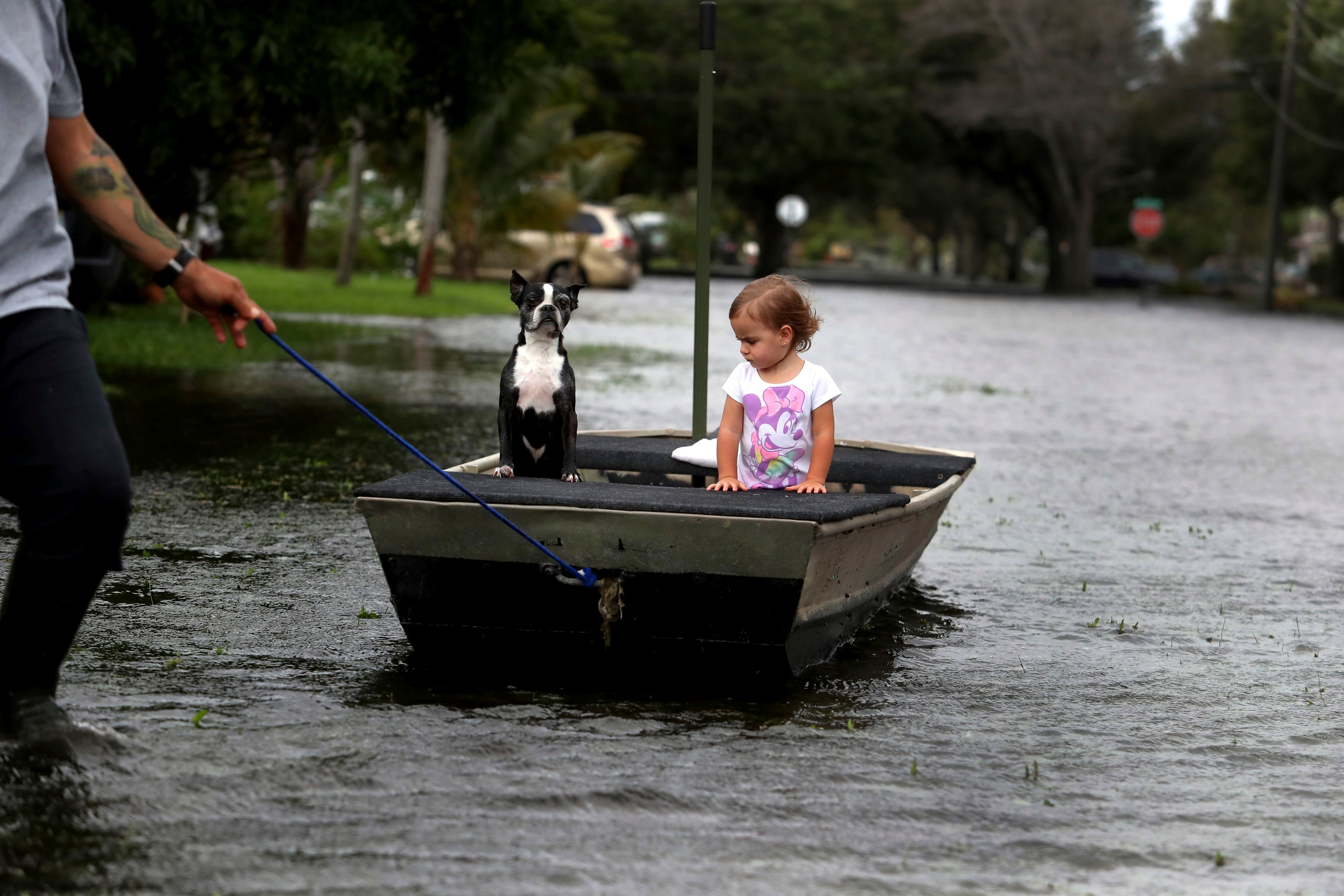 a estructura fiscal de Florida enfrenta la amenaza del creciente nivel del mar que podría inundar un millón de propiedades costeras. (Carline Jean/South Florida Sun-Sentinel via AP)