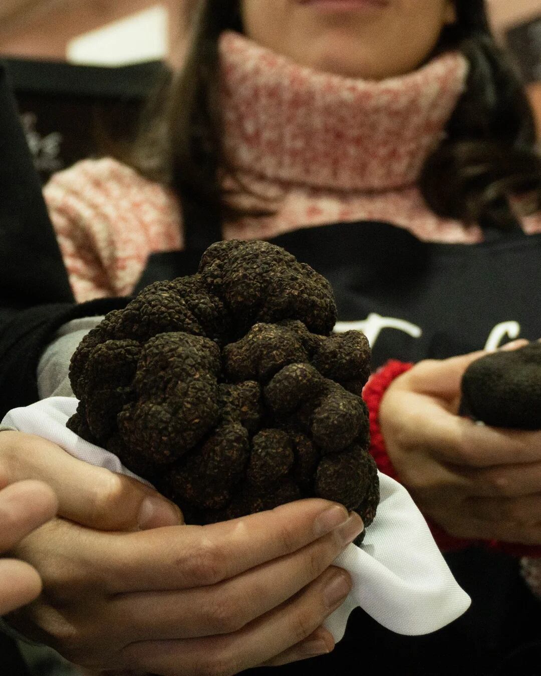 Aunque sean vistosas, las trufas negras más grandes no son las de mejor calidad ni las más pedidas