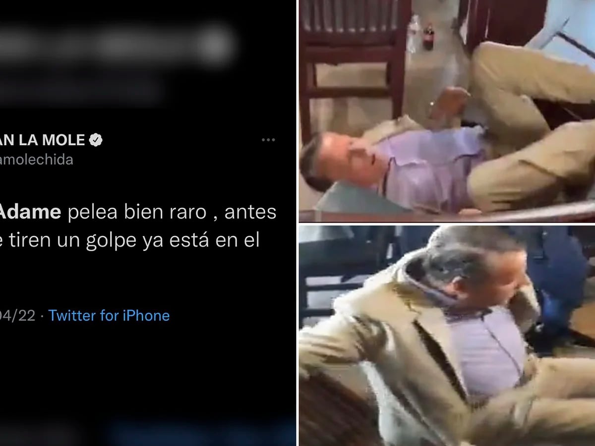 Los mejores memes que dejó la caída de Alfredo Adame en su nueva pelea -  Infobae