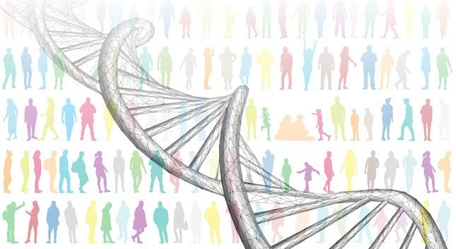 Genetic variations linked to severe cases of COVID-19 affect our immune cells. Image courtesy of La Jolla Institute for Immunology.