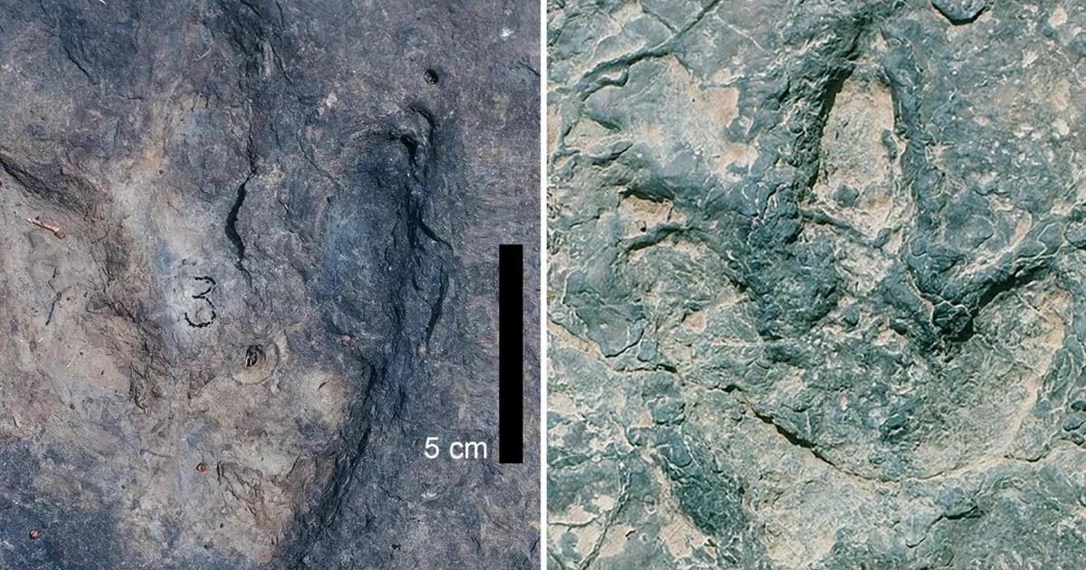 Científicos descubren huellas de dinosaurios coincidentes en continentes separados por 6.000 kilómetros