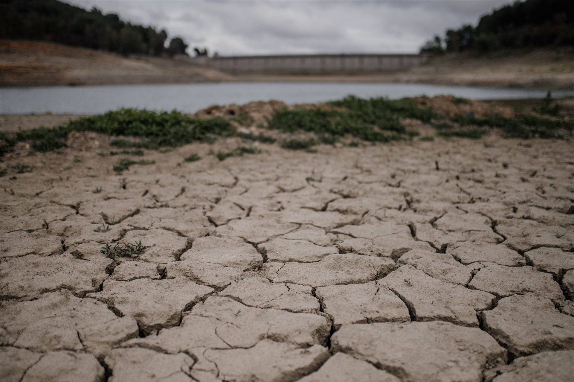 La sequía afecta a amplios sectores del planeta por efecto de La Niña 