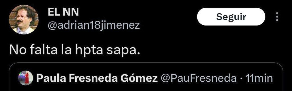 La periodista expuso a las personas que la han increpado verbalmente - crédito @PauFresneda