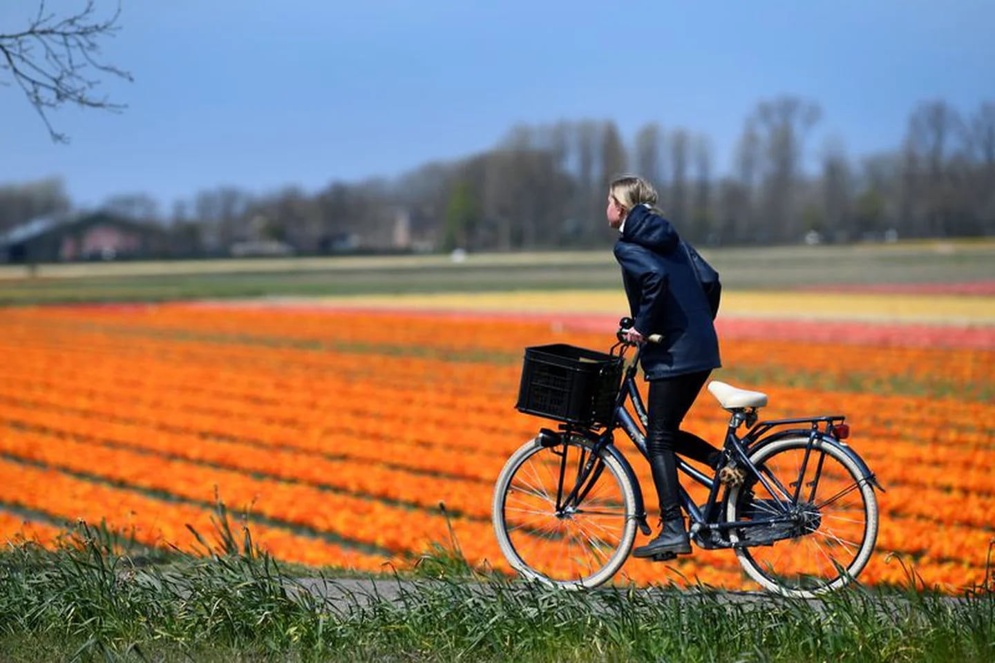 Celebra el Día Mundial de la Bicicleta con estas bicis eléctricas baratas, Lifestyle