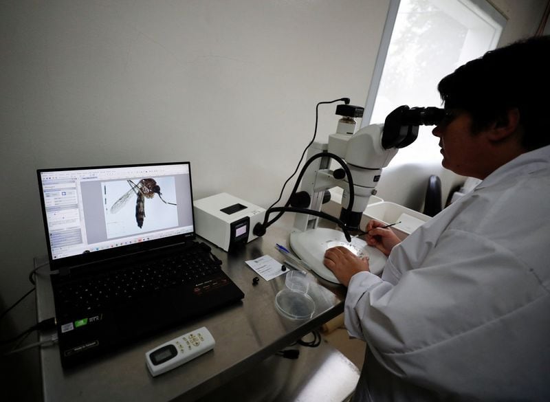 La bióloga argentina Marianela Garcia Alba observa en un microscopio al mosquito Aedes aegypti, la especia vectora del virus del dengue, en un laboratorio de la Comisión Nacional de Energía Atómica (CNEA) en Buenos Aires. 12 abr, 2023. REUTERS/Agustin Marcarian
