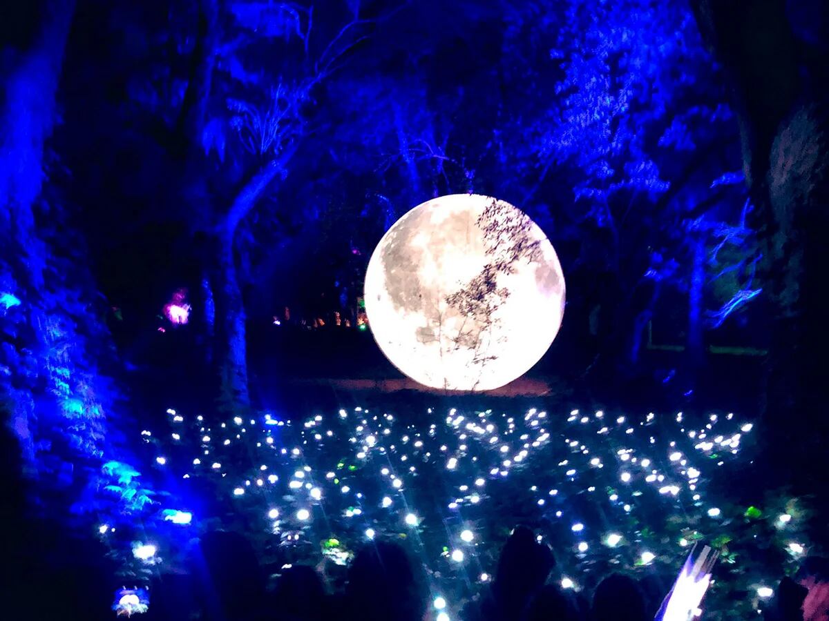 Contrapunto de opiniones sobre la muestra inmersiva “Secret Garden” en el Jardín Botánico - Infobae